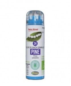 Pin Sylvestre - Pine (n°24) SANS ALCOOL BIO, 130 granules